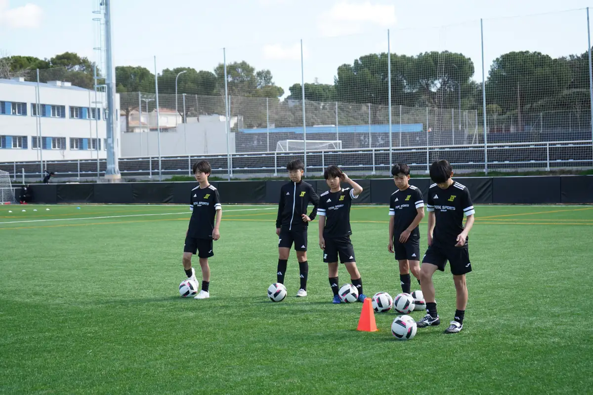 Japan Academy Tour